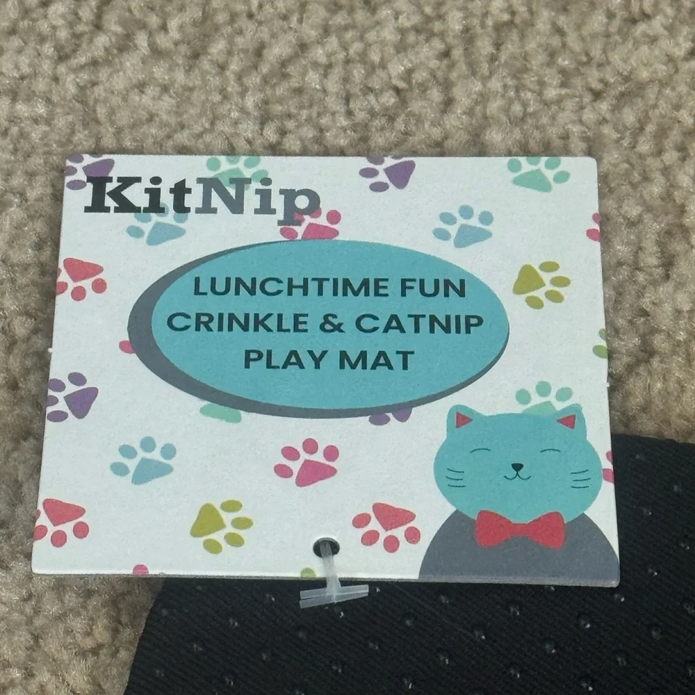Purple and Orange Cat Bowls & Feeders